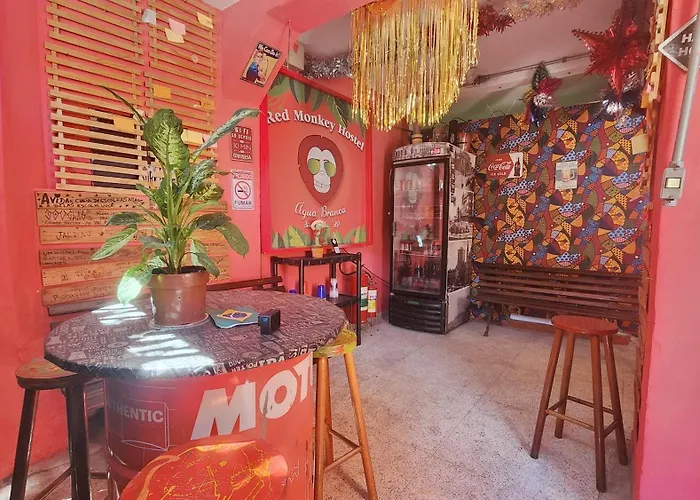 Red Monkey Hostel: Barra Funda